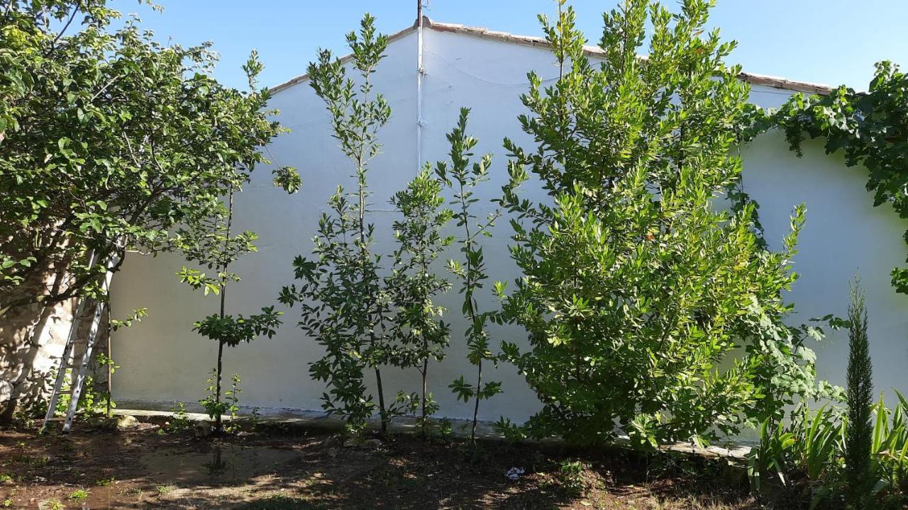Casa Junto Al Parque Natural De Las Bardenas Sádaba Kültér fotó